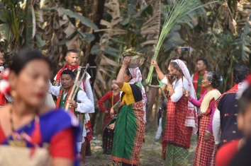 Ali Aye Ligang