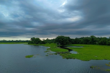 Doriya