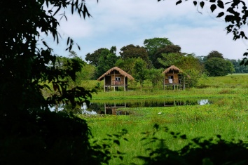 Majuli Bamboo Cottage