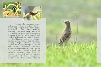 Bird watching and Butterfly hotspots