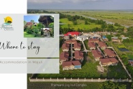 Where to stay