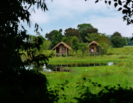 Majuli Bamboo Cottage