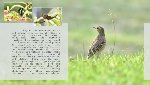 Bird watching and Butterfly hotspots